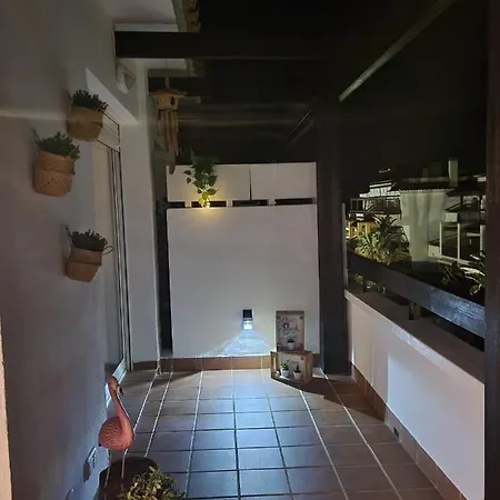 La Biznaga De Apartment Vera